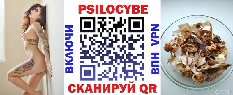 Псилоцибиновые грибы мицелий  наркошоп  Весьегонск 
